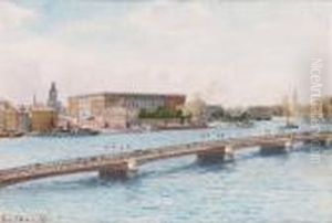Vy Over Stockholms Slott by Anna Palm De Rosa