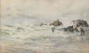 Fiskare Pa Bretagnes Kust