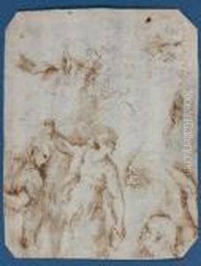 Etudes De Tetes