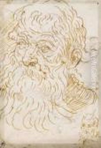 Portrait De Vieillard, Reprise Du Portrait En Bas A Droite - view 1
