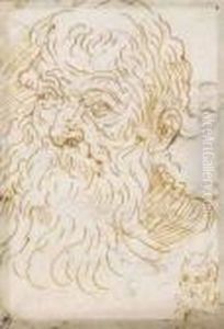 Portrait De Vieillard, Reprise Du Portrait En Bas A Droite