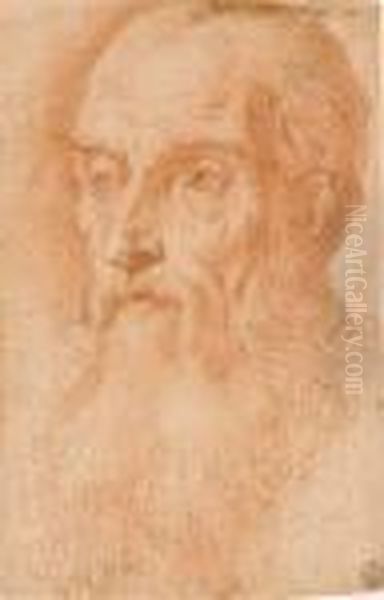 Tete D'un Homme Barbu, Regardant Vers La Gauche - view 1