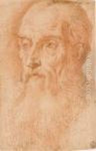 Tete D'un Homme Barbu, Regardant Vers La Gauche