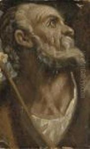 The Head Of Saint Joseph The Head Of Saint Joseph