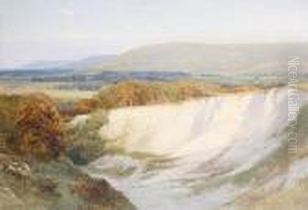 Chalkpit At Steyning - view 1