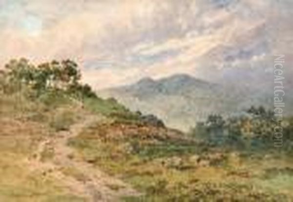 An Extensive Moorland Landscape With Sheep Grazing In The Foreground - view 1