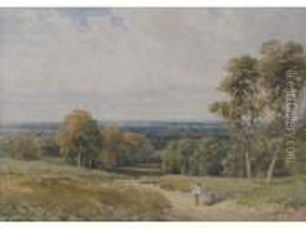 The New Forest - view 1