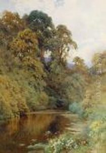 The River Mole, Near Dorking The River Mole, Near Dorking