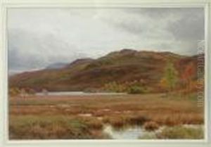 Morass & Moor by Harry Sutton Palmer