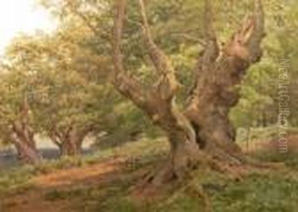 A Gnarled Oak - view 1