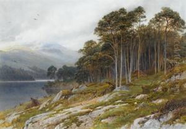 View In The Highlands - view 1