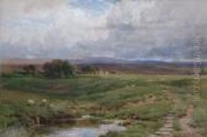 Landscape With Sheep. Landscape With Sheep.