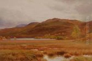 Morass And Moor