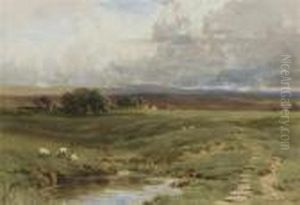 Sheep Grazing Below The Moors