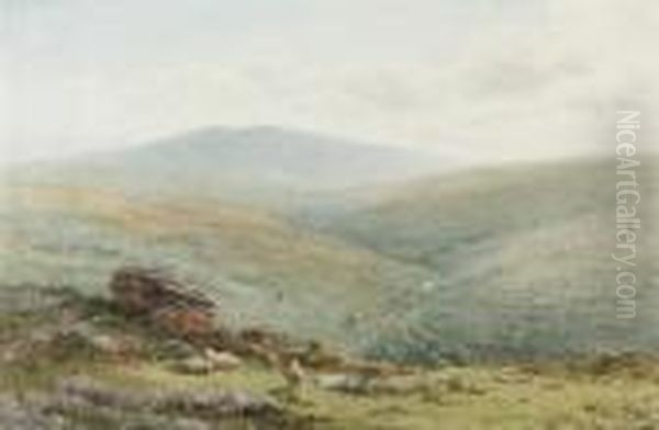 An Extensive Moorland Landscape With Sheep Grazing In The Foreground - view 1