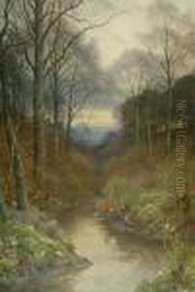 Spring Time With Primroses On The Banks Of A Woodland River Landscape - view 1