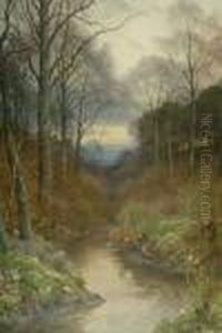 Spring Time With Primroses On The Banks Of A Woodland River Landscape