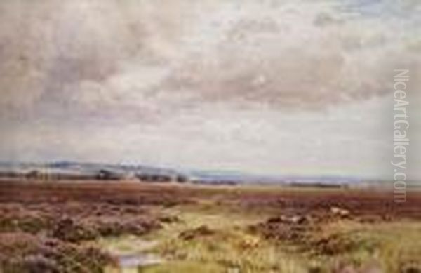 Cattleresting In An Extensive Landscape - view 1