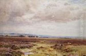 Cattleresting In An Extensive Landscape Cattleresting In An Extensive Landscape