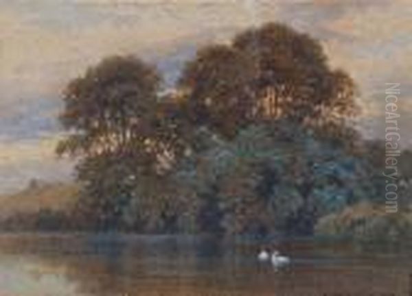 A Woodside Lake With Swans - view 1