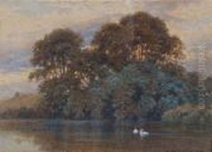 A Woodside Lake With Swans by Harry Sutton Palmer