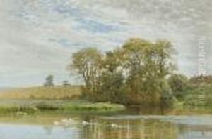 Ducks On The Village Pond by Harry Sutton Palmer