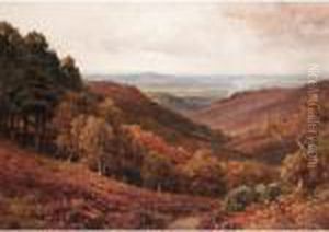The Weald From Arundel Park by Harry Sutton Palmer