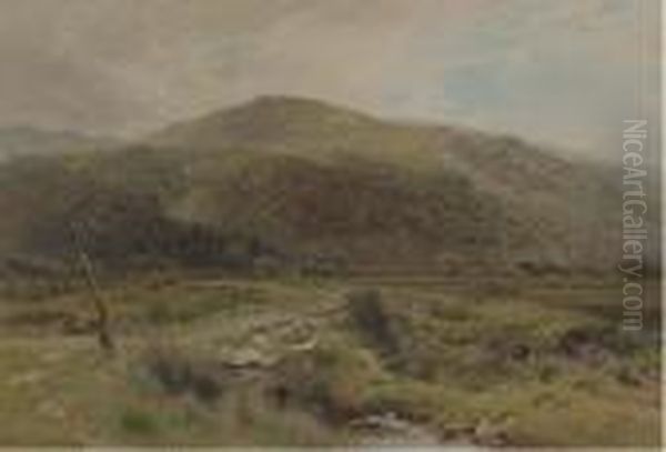 Cattle Grazing In The Lake District - view 1