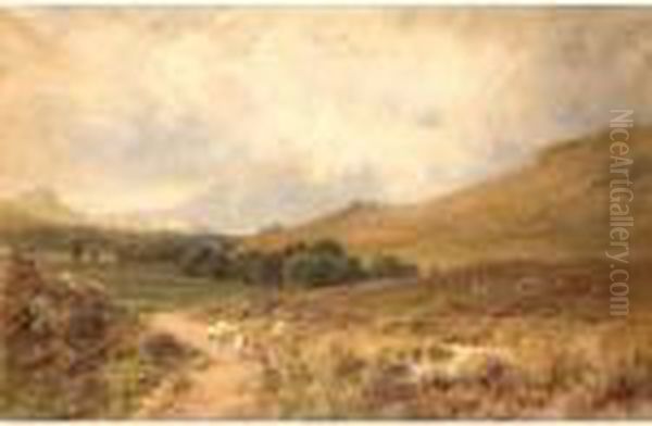 Ben Cruachan, Dalmally - view 1