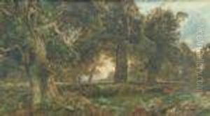 Woodland Glade At Sunset: Possibly Richmond Park