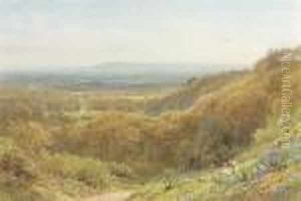 Spring, Leith Hills, Surrey - view 1