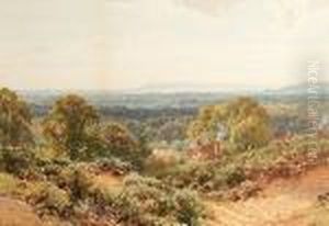 The Surrey Hills Looking Towards Blackdown by Harry Sutton Palmer