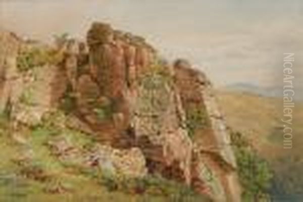 Sheep Resting By A Moorland Tor - view 1