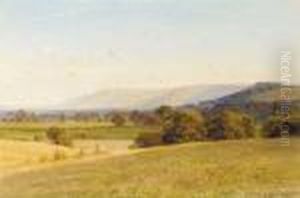 A Cornfield On The Sussex Downs