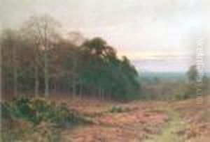 Twilight: Milford Heath by Harry Sutton Palmer