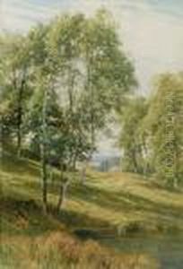 A View Of Bindon, Near Axbridge Devon by Harry Sutton Palmer