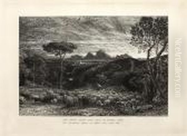 "opening The Fold" Or "early Morning" - view 1