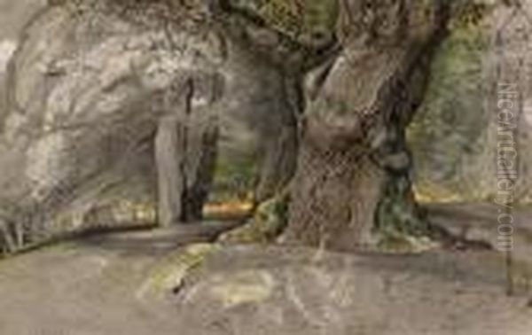 Oak Tree And Beech, Lullingstone Park - view 1