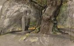 Oak Tree And Beech, Lullingstone Park by Samuel Palmer