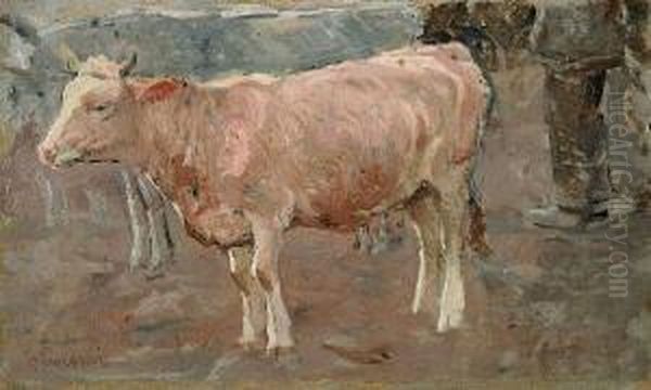 Mucche Con Contadino - view 1