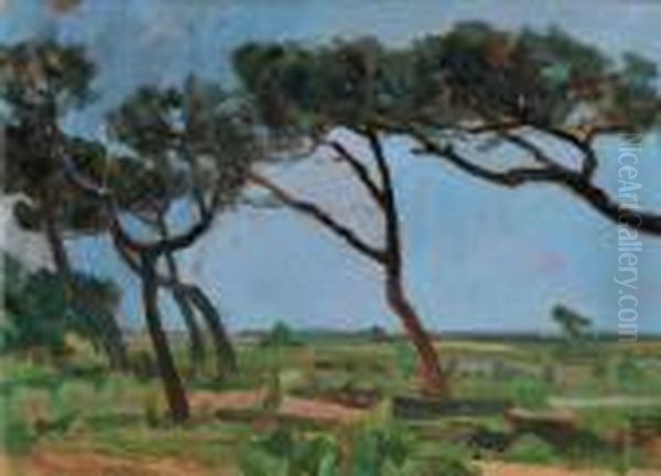 Paesaggio - view 1