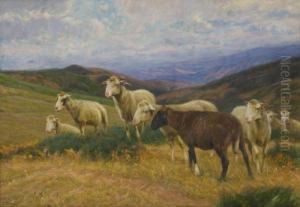 Pecore Al Pascolo Sul Montepiano by Ruggero Panerai