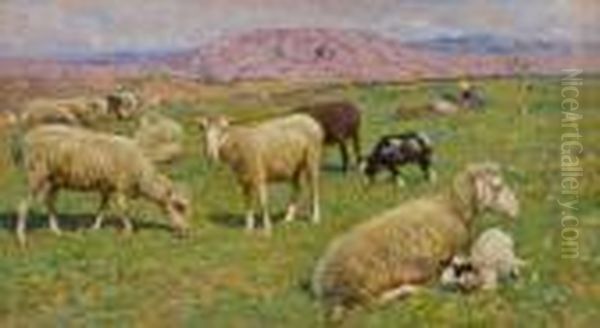 Pascolo - view 1