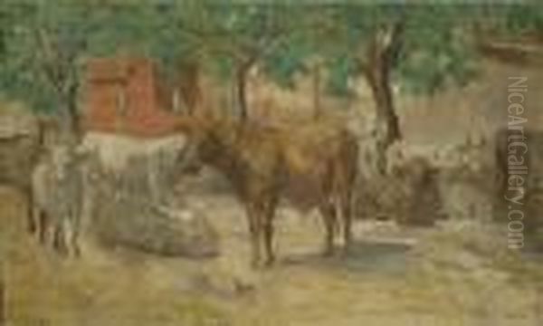 Bovi Al Riposo - view 1