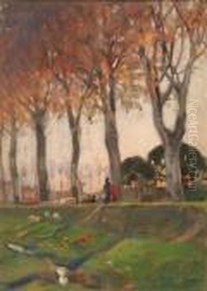 Passeggiata Nel Parco - view 1