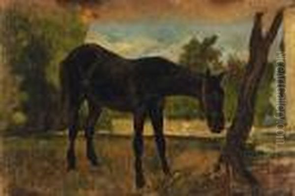 Cavallo Legatoall'albero - view 1