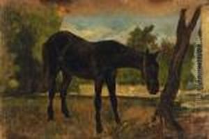 Cavallo Legatoall'albero