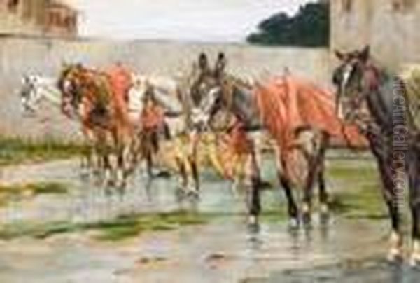 Cavalli E Somaro - view 1