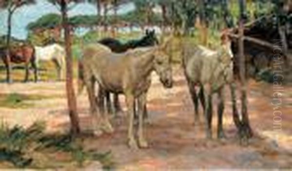 Cavalli Al Maneggio Olio - view 1