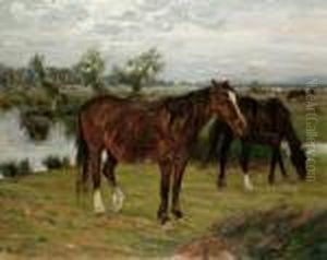 Cavalli Al Pascolo by Ruggero Panerai